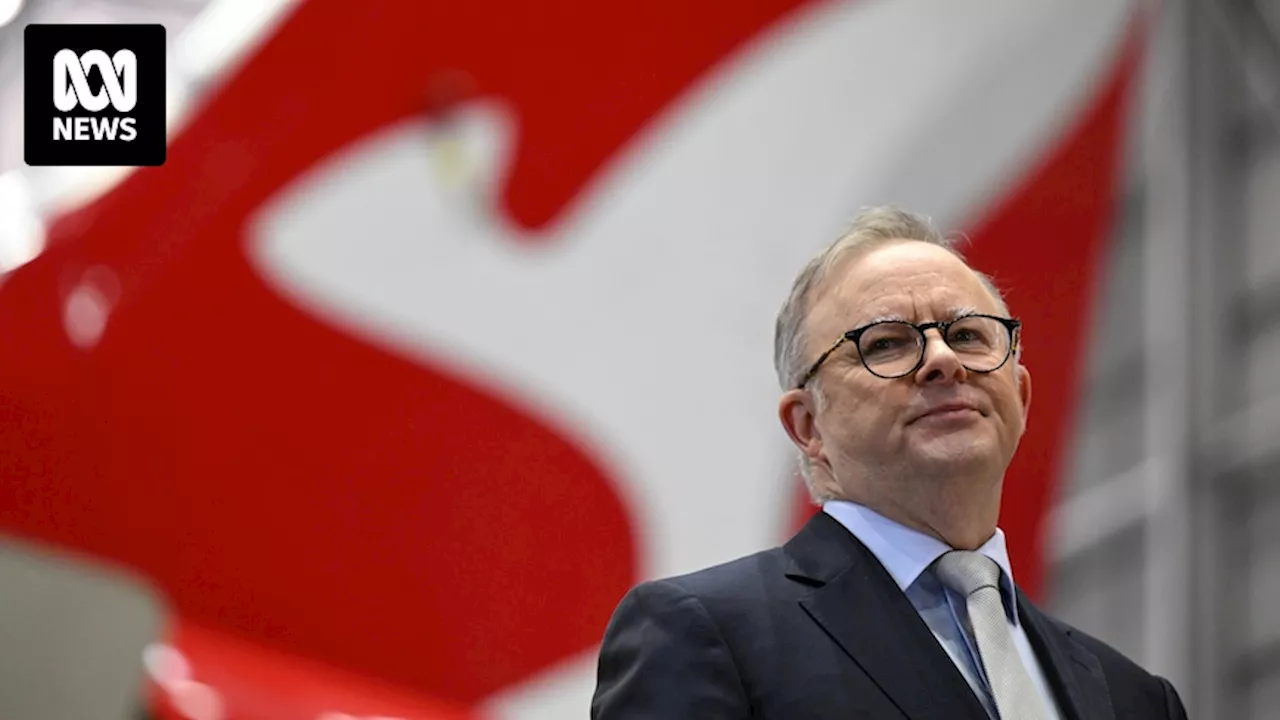 Prime Minister Anthony Albanese denies ever calling Alan Joyce for Qantas upgrades