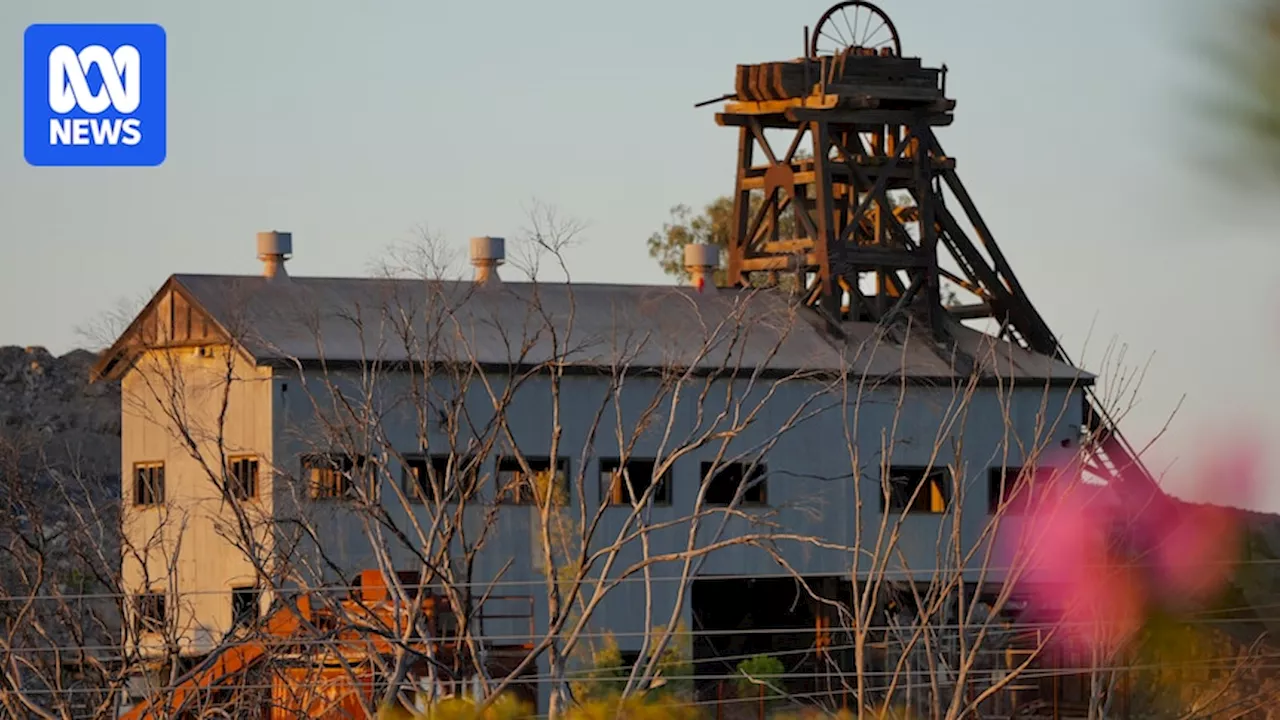 Transgrid says maintenance was 'not neglected' as regulators investigate Broken Hill blackout