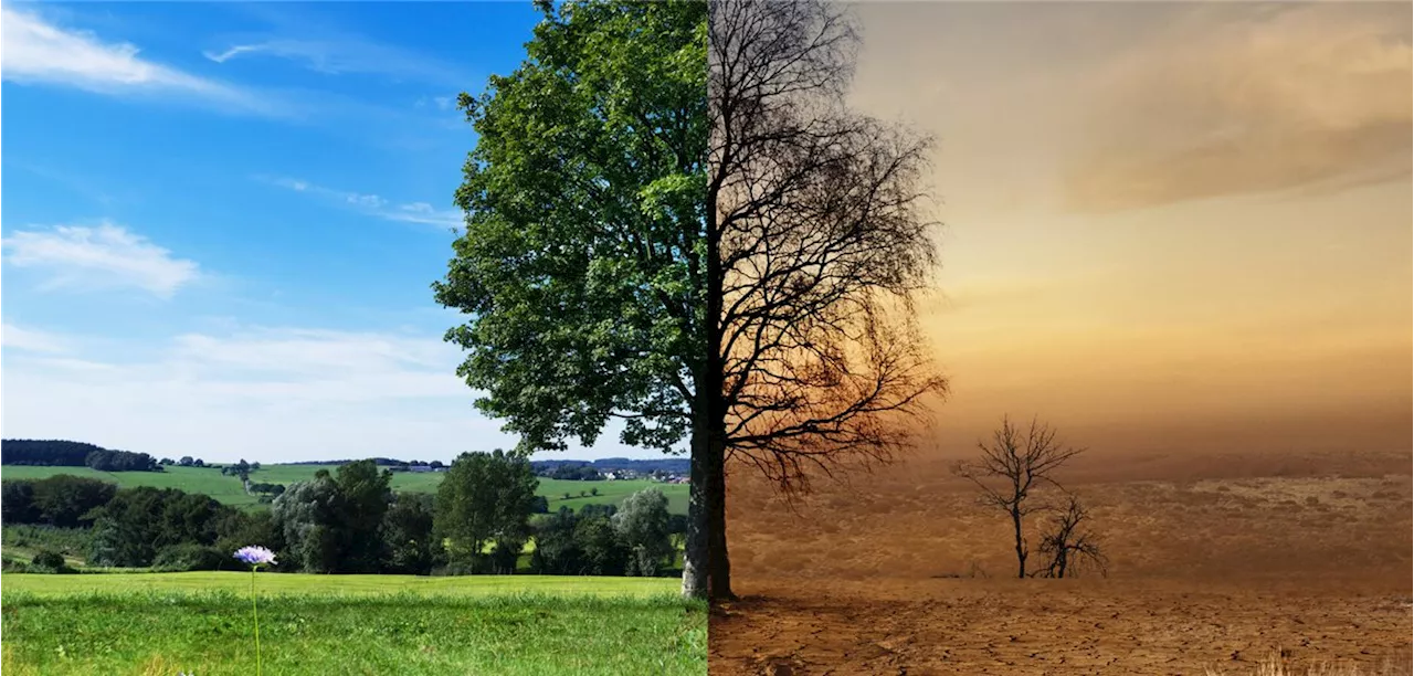 Report im Vorfeld der Weltklimakonferenz : Gesundheit wird zunehmend durch Klimawandel beeinträchtigt