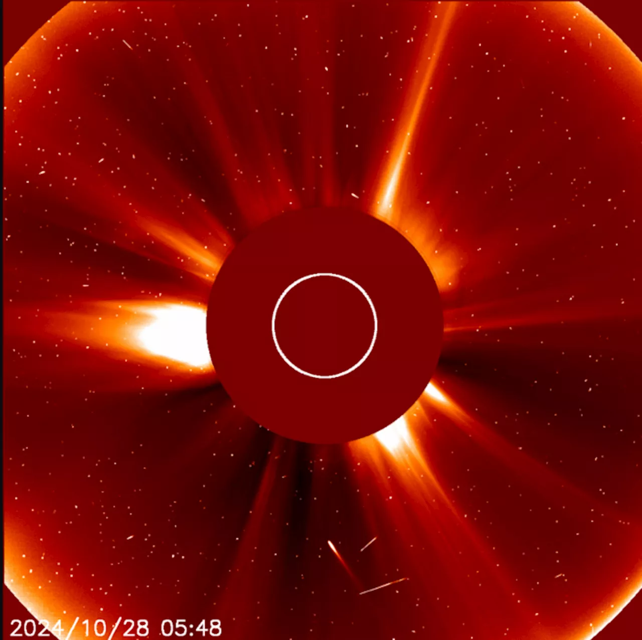 Non ci sarà l'attesa cometa di Halloween, il Sole l’ha distrutta