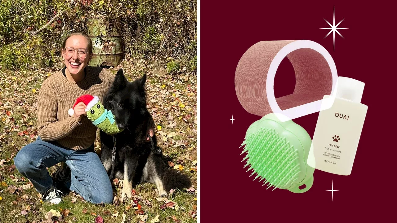 15 Best Gifts for Pet Owners, According to a Frequent Animal Fosterer