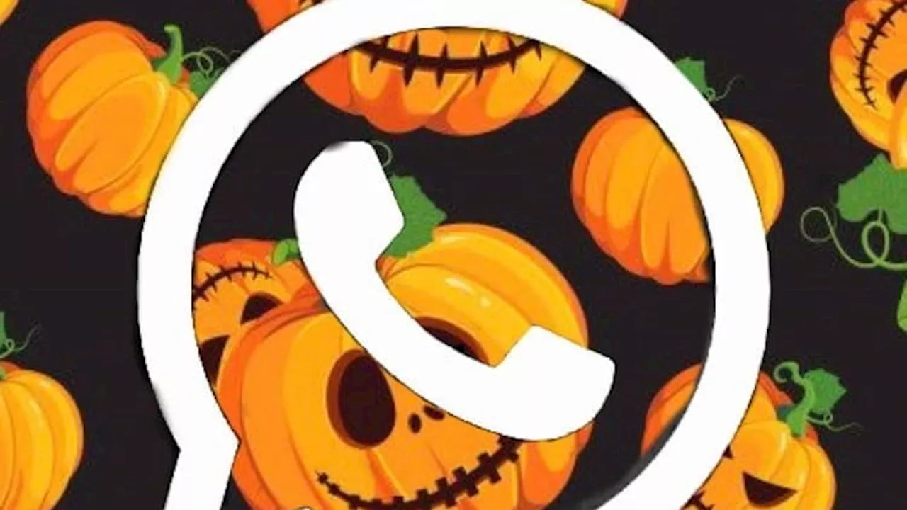 WhatsApp-Sprüche zu Halloween: Lustige Ideen für Freunde und Kollegen