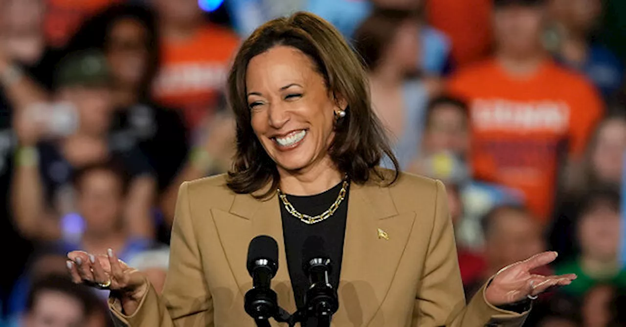 Report: The Kamala Harris Astroturf Machine Manipulates ‘Community Notes’ on Elon Musk’s X/Twitter