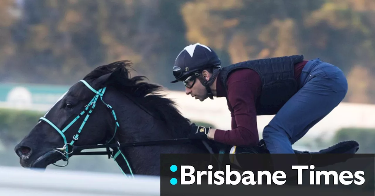 Eyes of the racing world on Japanese filly in $10 million Golden Eagle