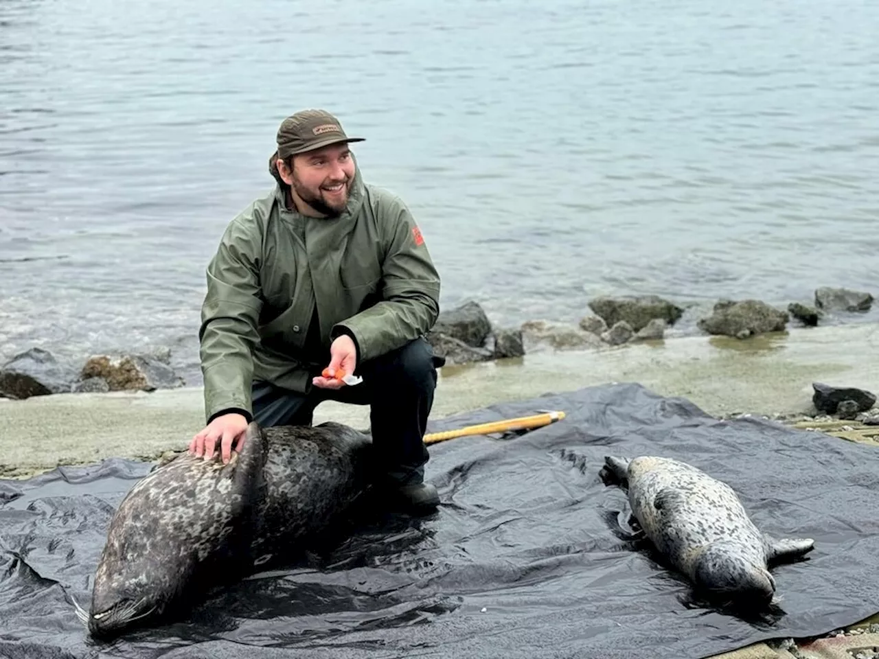 Seal is served: How coastal First Nations are reclaiming their roots by bringing back the hunt