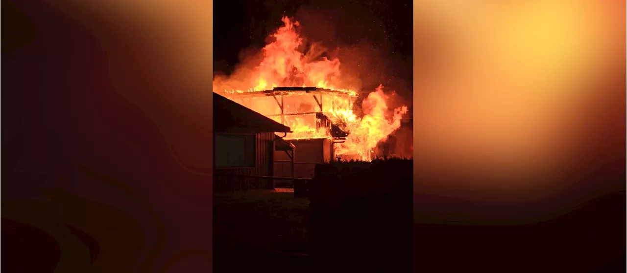 ‘It was crazy’: Occupants escape as 30-foot flames damage Campbell River-area home