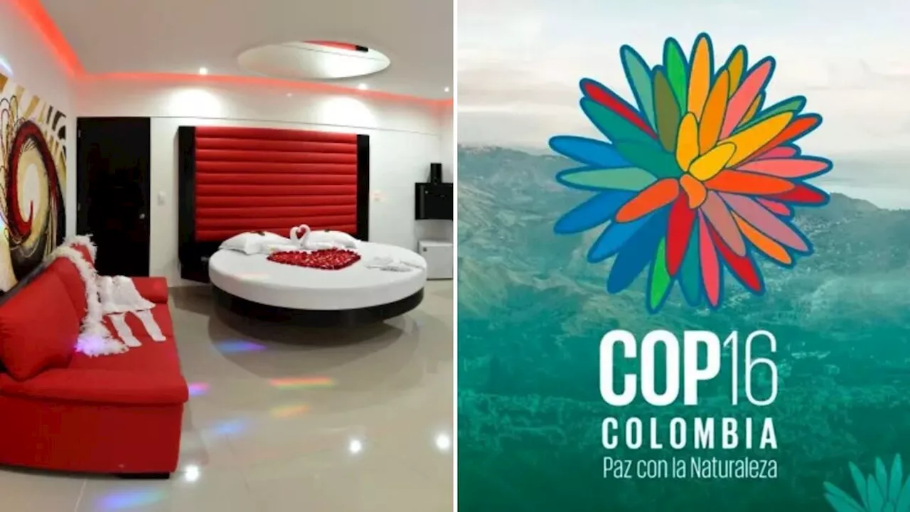 Moteles abren sus puertas a los invitados de la COP16: ¿cuáles son los precios?