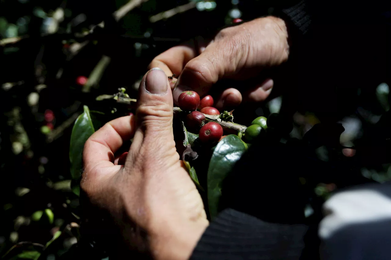 Preços ao produtor no Brasil sobem 0,66% em setembro em 8ª alta seguida