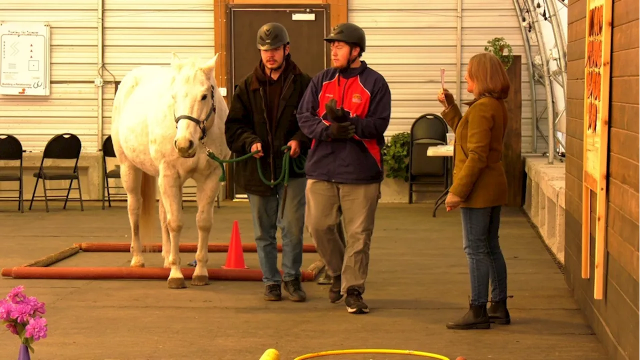 Robinson Outreach at Rivercross Ranch uses horses to connect with students and seniors