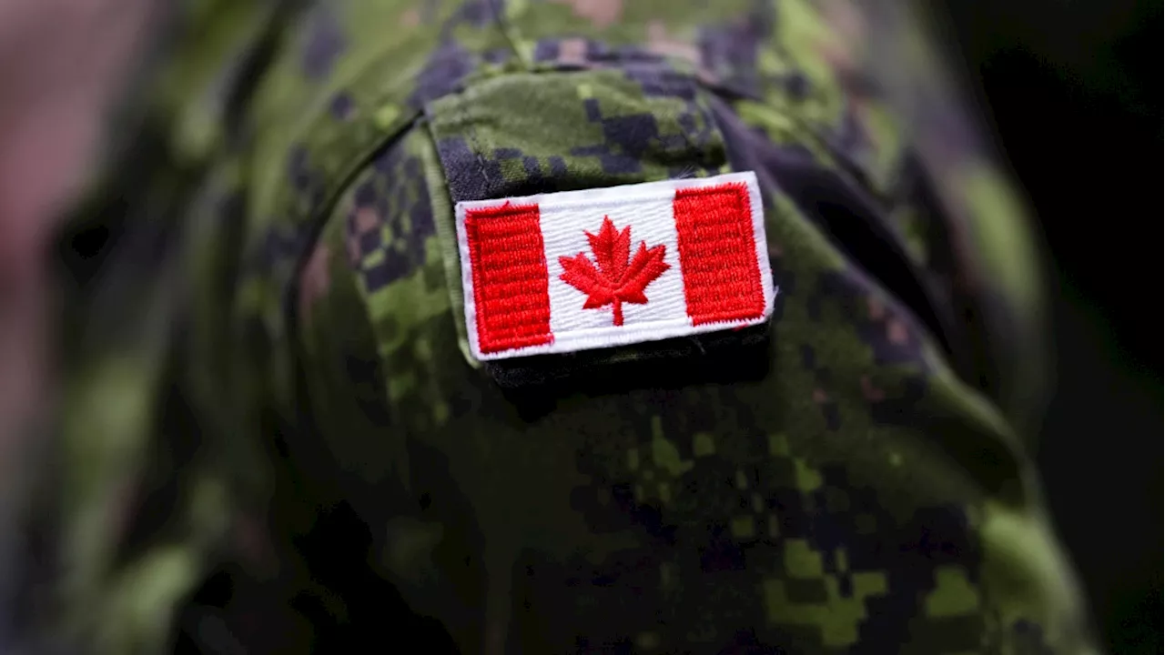 Canada needs to double its military spending to meet NATO targets: PBO