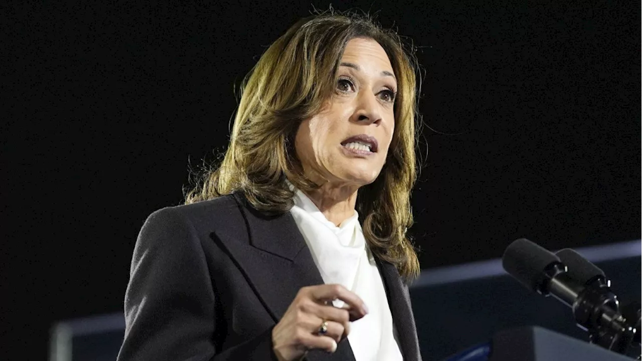 Harris promises to 'represent all Americans' after Biden's remark on Trump supporters and 'garbage'