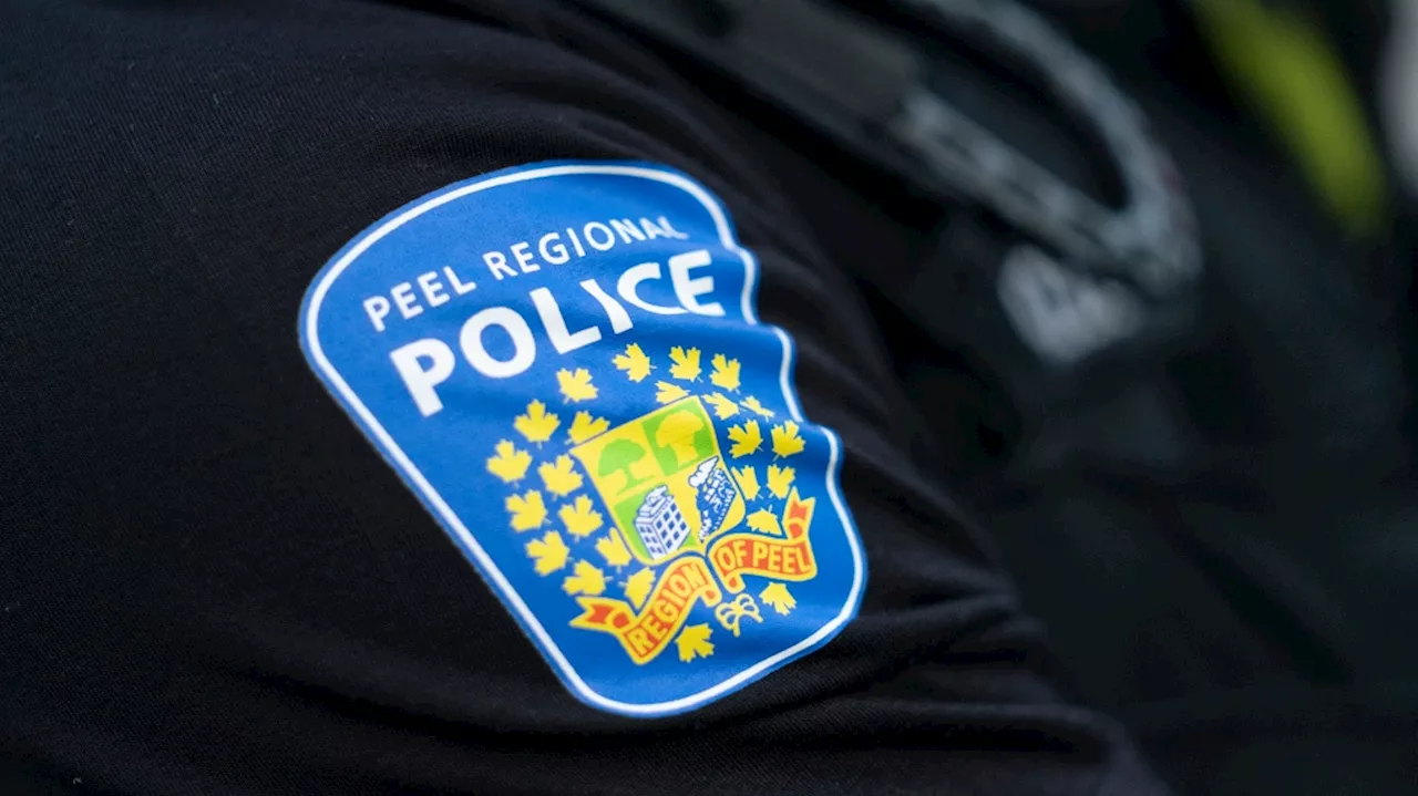 Two teenage boys among 3 suspects charged in 'violent' armed robbery at Mississauga jewellery store: police