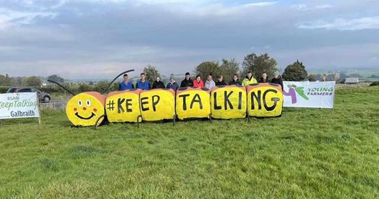 Young Farmers Clubs show off artistic sides