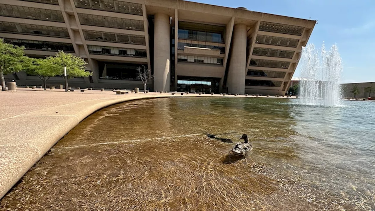 Dallas Hero prop would cripple City Hall under guise of accountability