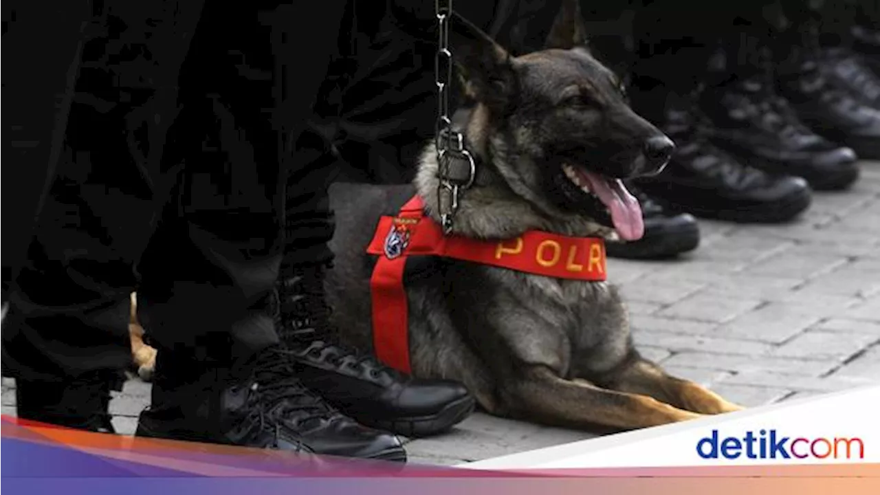 Polda Jateng Terjunkan K9 Antisipasi Sabotase Debat Pilgub Jateng