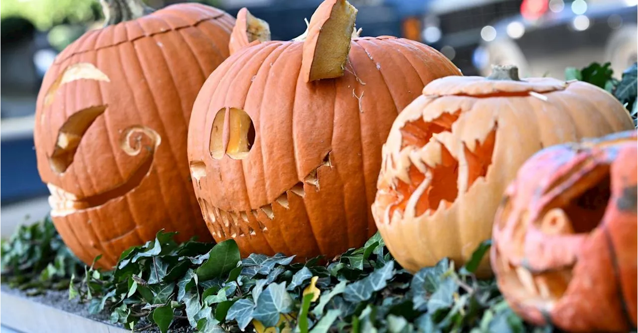 Polizei zu Halloween: Eier und Sprühdosen bitte zu Hause lassen