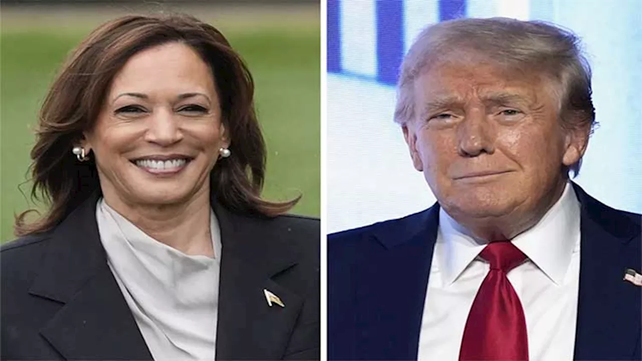 Two closing arguments show the stark choice between Trump and Harris