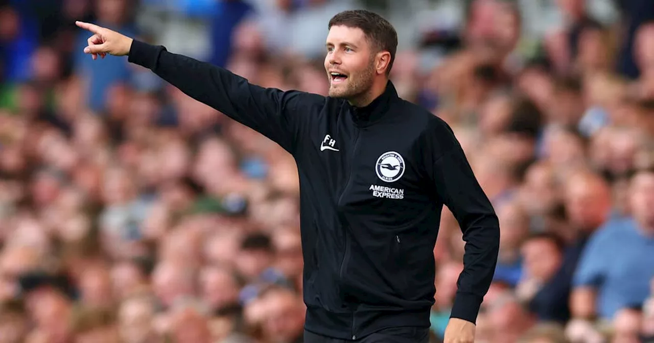 Fabian Hurzeler makes major Liverpool claim as injury update shared before Brighton clashes