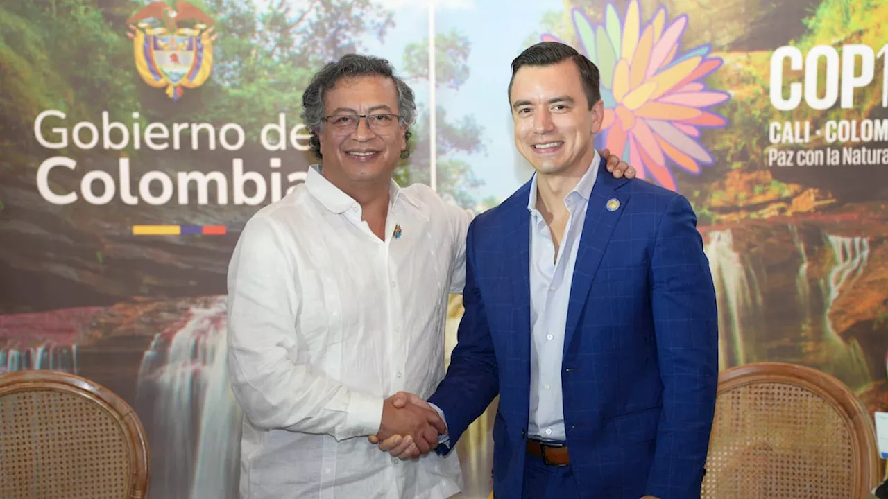 Presidentes de Colombia y Ecuador se reunieron para hablar de cooperación energética