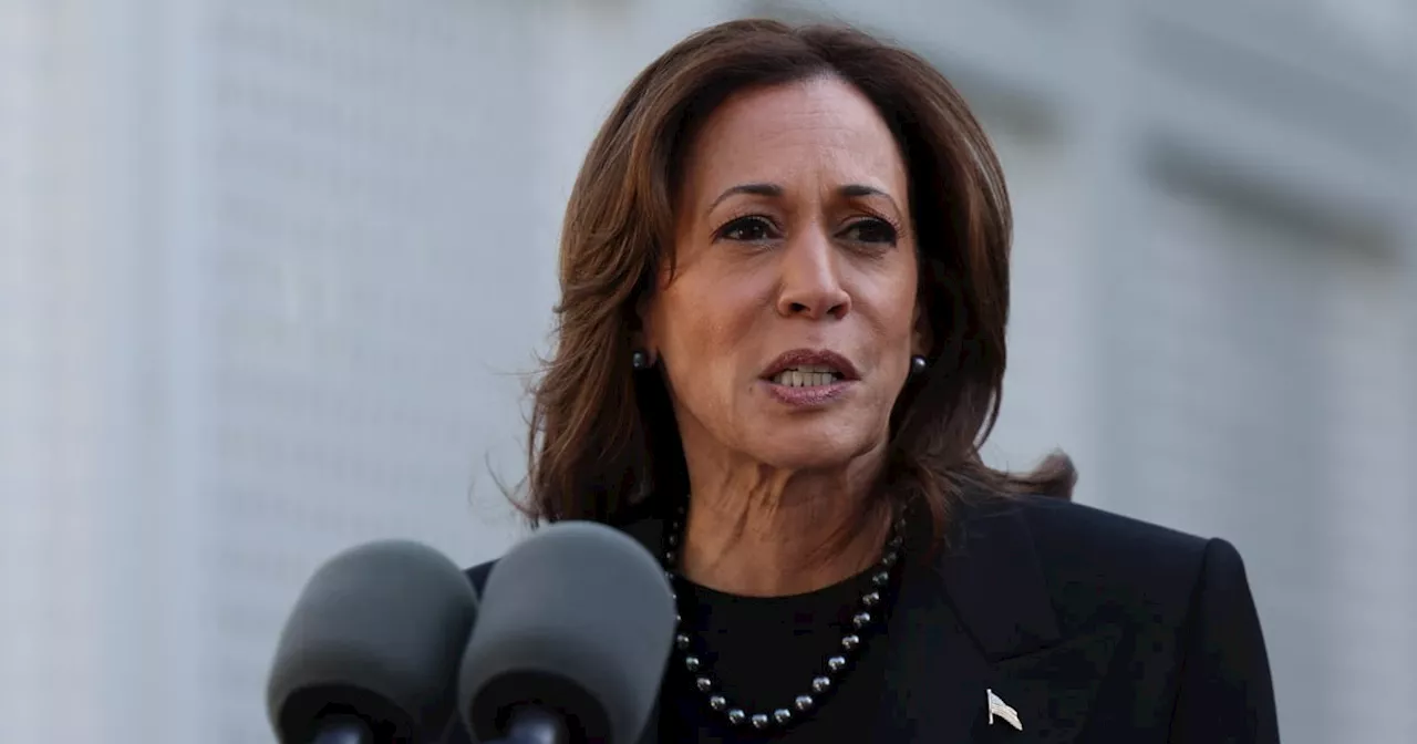 Harris urges US to turn page on Trump 'chaos' in mass White House rally