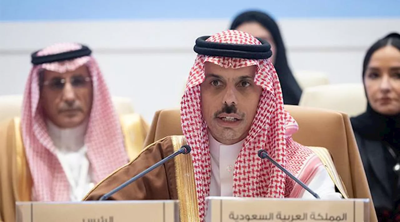 مذمتی بیانات فلسطینی علاقوں میں اسرائیلی جارحیت روکنےکیلئے ناکافی ہیں، سعودی وزیر خارجہ