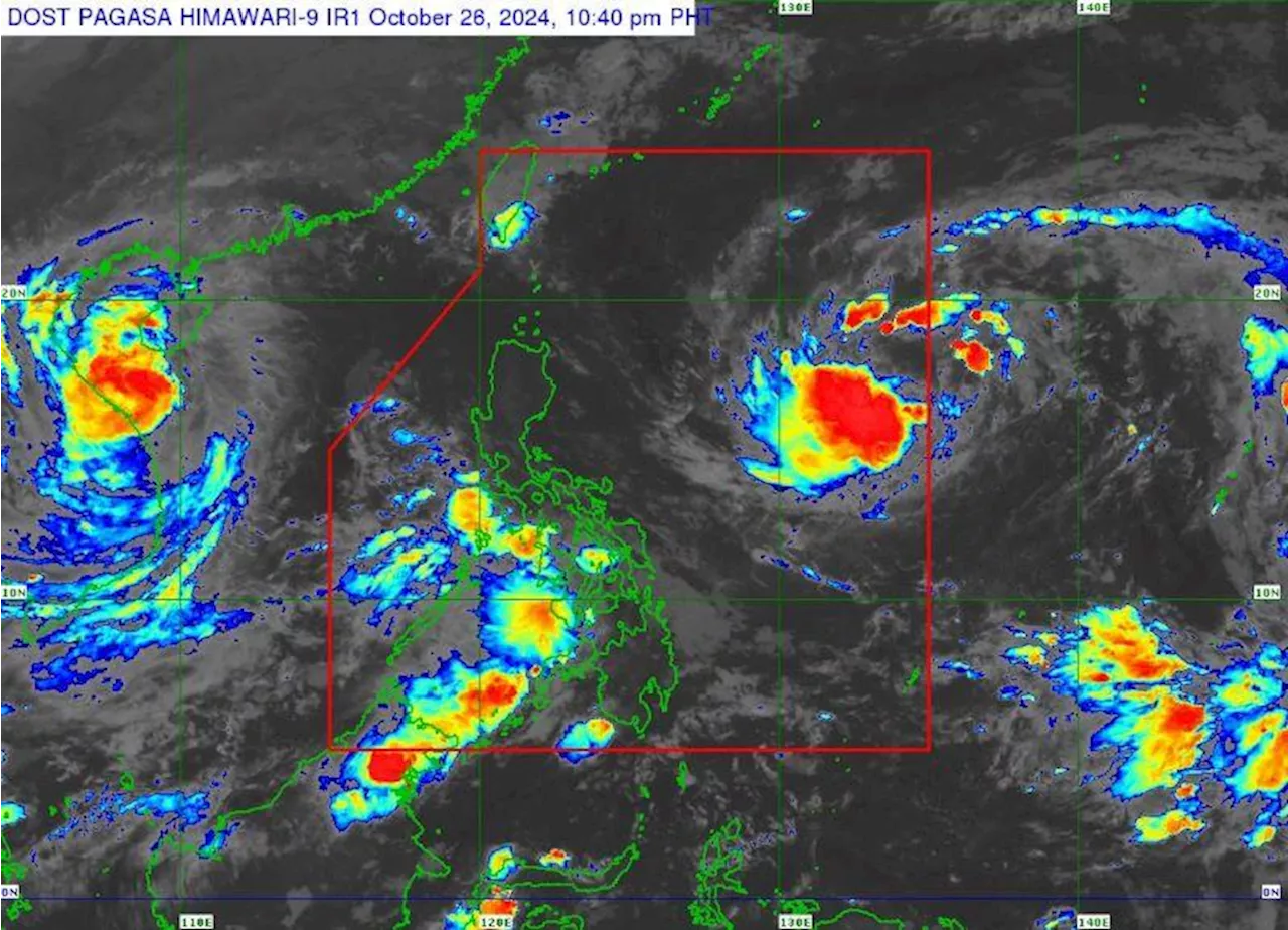 Should public know when cyclone is in PAR? Science chief tells why