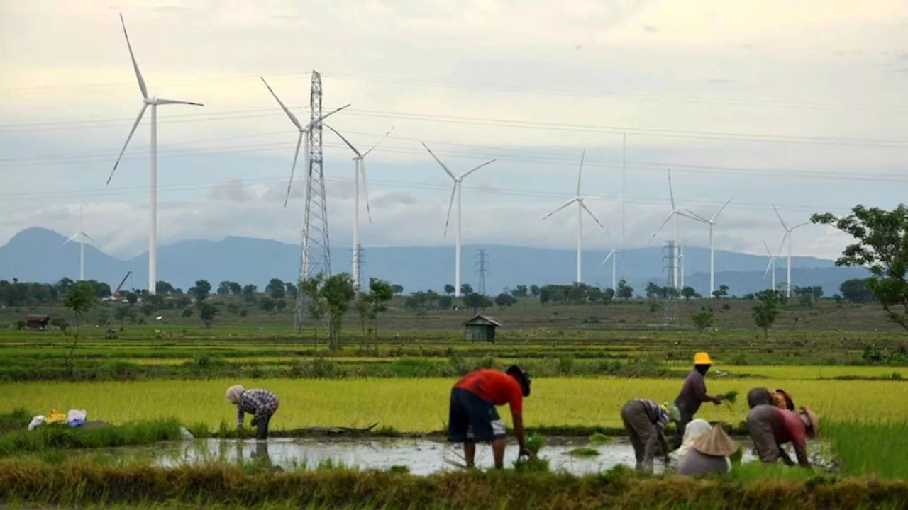 Efisiensi Energi Bisa Menjadi Awal Menuju Transisi Energi