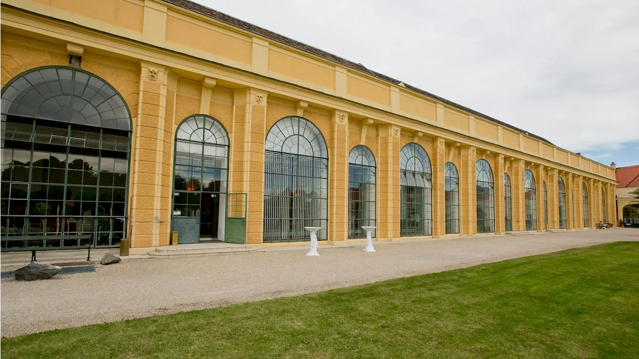 Beauty-Trends in Schönbrunn - Wiens erste Schönheits-Messe kommt in die Orangerie