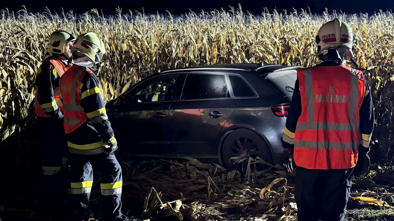 Unfall bei Ratzersdorf - Audi-Lenker nach Crash aus Unfallwrack befreit