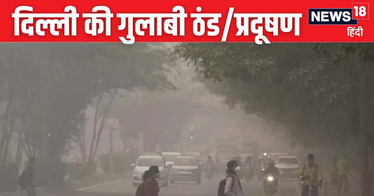 Weather Update: दिवाली से पहले दिल्ली में गरमाहट, गुलाबी ठंड ने गर्मी से दिलाई राहत, IMD का यहां बारिश का अ...