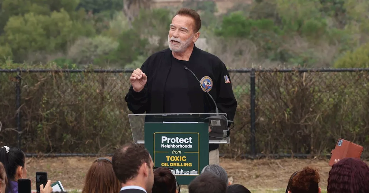 Arnold Schwarzenegger Endorses Kamala Harris, Slams Donald Trump As 'Un-American'