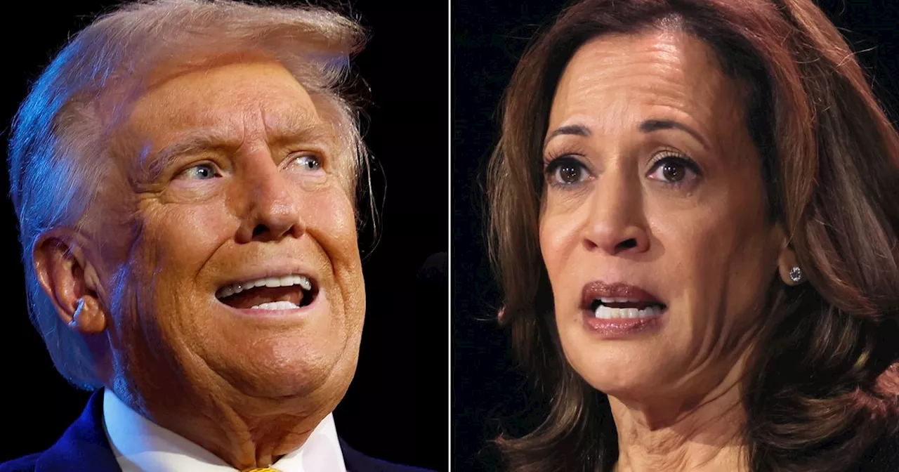 Harris Makes Closing Arguments, Trump Calls Racism-Filled Rally A 'Lovefest': Latest Updates