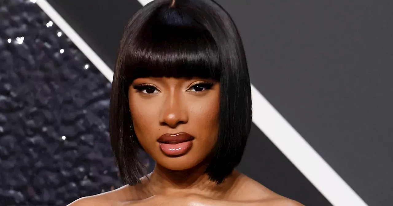 Megan Thee Stallion Sues Blogger For Alleged Cyberstalking, Promotion ...