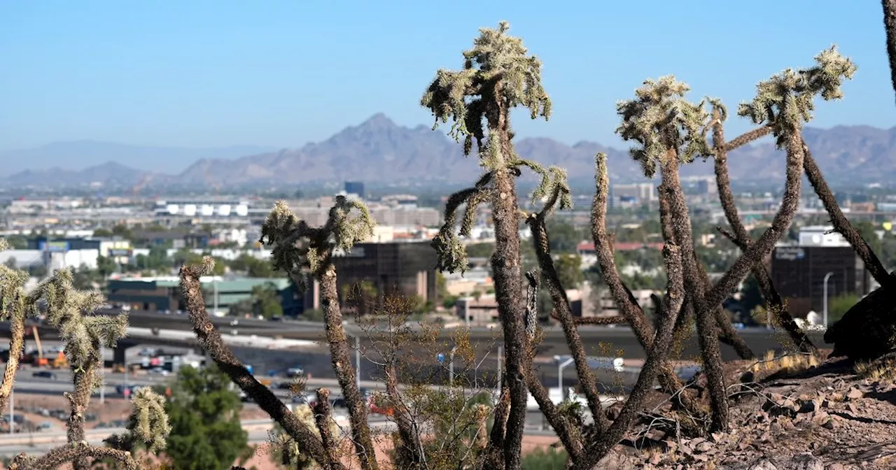 We May Not Know The Next President On Election Day. This Arizona Swing County Could Be Why.