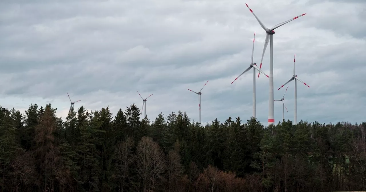 Staatsforsten lockern in Ausnahmen Vergabe für Windflächen