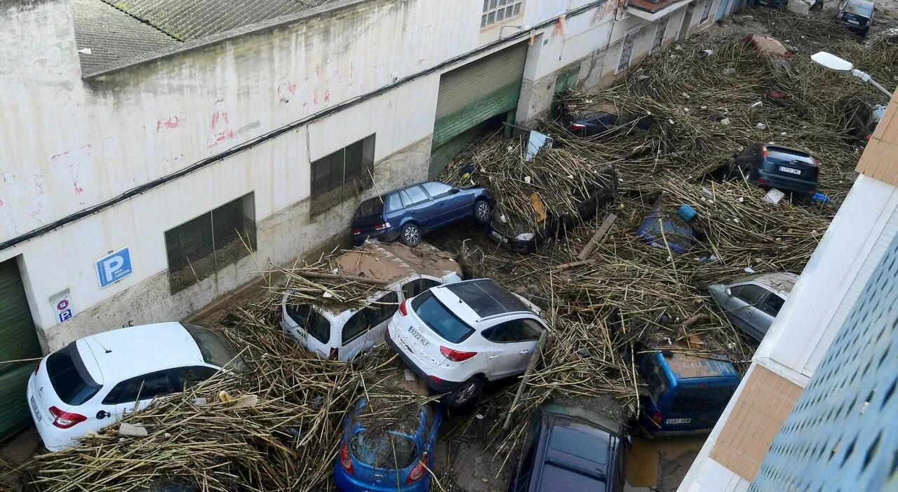 Alluvione Valencia, attivati obitori mobili e cani per cercare i morti: il piano per i soccorsi (con oltre 100