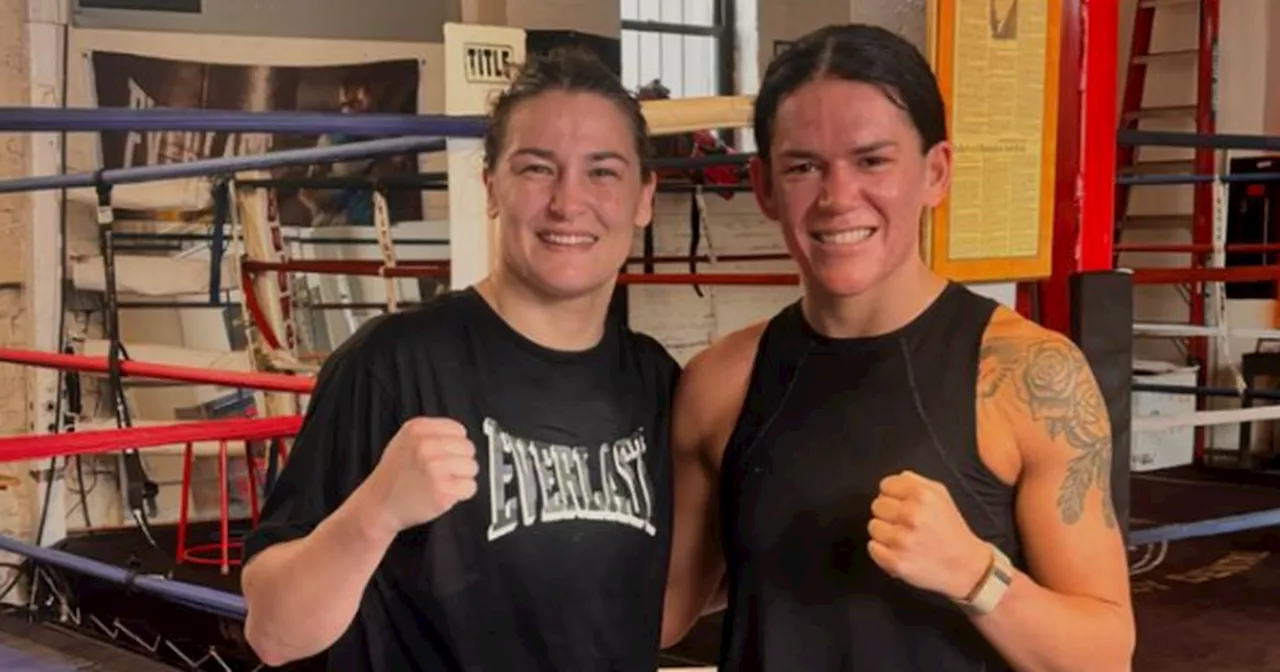 Taylor backs Irish fighter to do 'great things' after sparring sessions