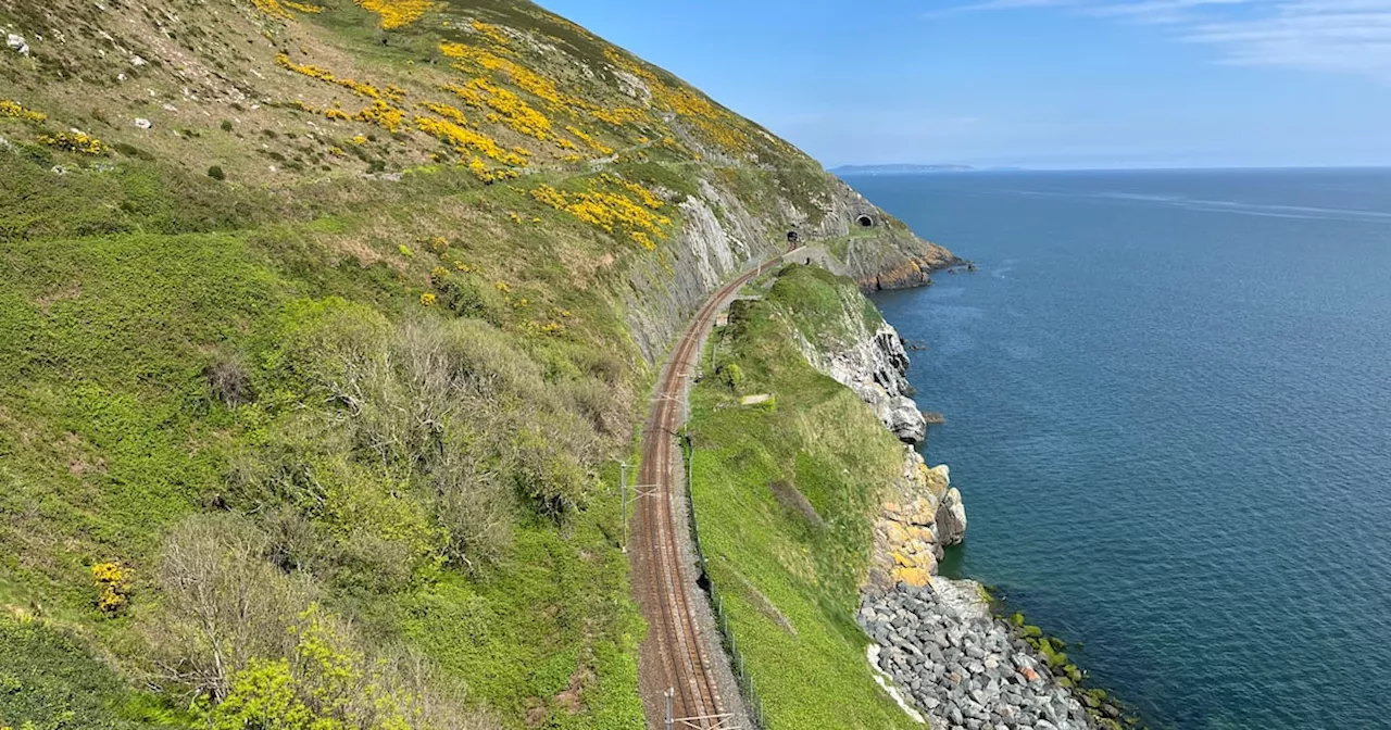 Coffee seller who lost ‘500 customers a week’ welcomes Bray-Greystones cliff walk taskforce