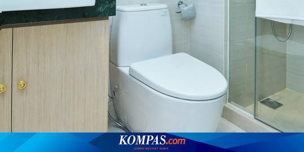 Cara Mengatasi Toilet yang Tersumbat dengan Baking Soda