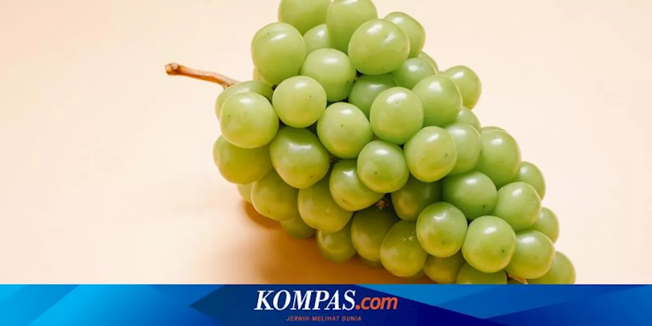 Penjelasan Kemenkes dan Bapanas soal Anggur Shine Muscat yang Disebut Terkontaminasi Pestisida Berbahaya