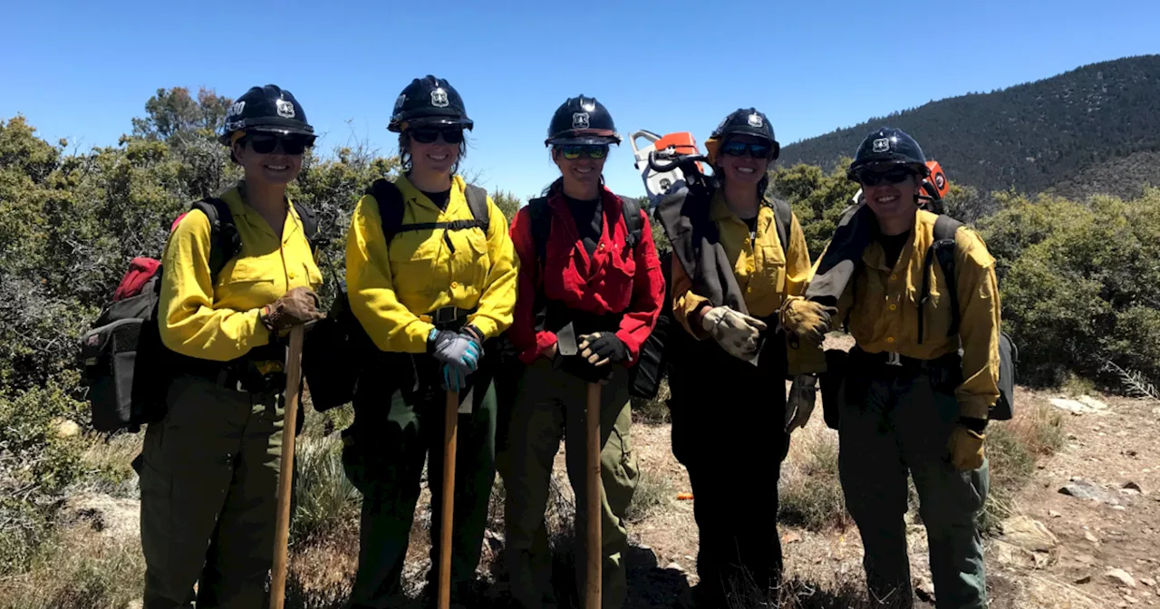 Forest Service to hold Women in Wildfire training camp in Northern California