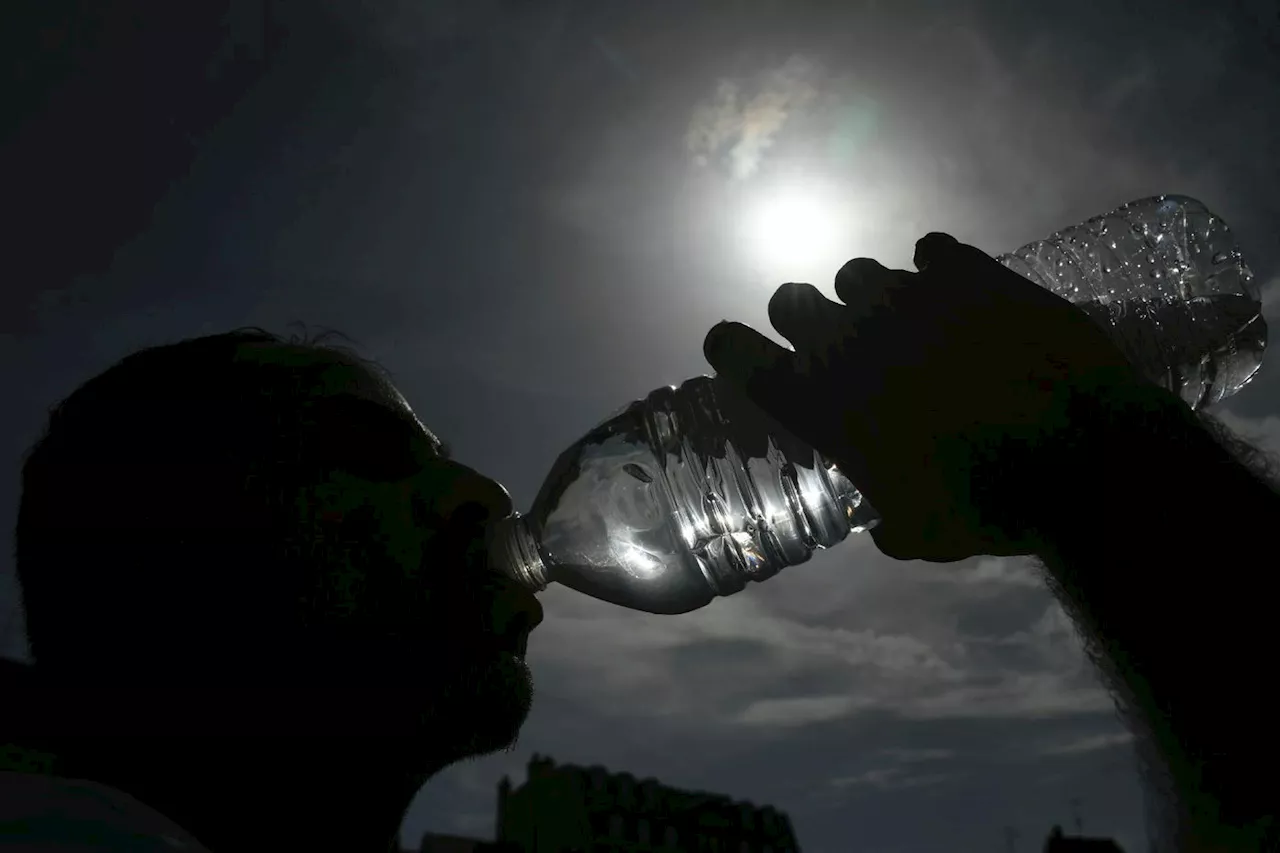 Les microplastiques, pas fantastiques pour la santé humaine