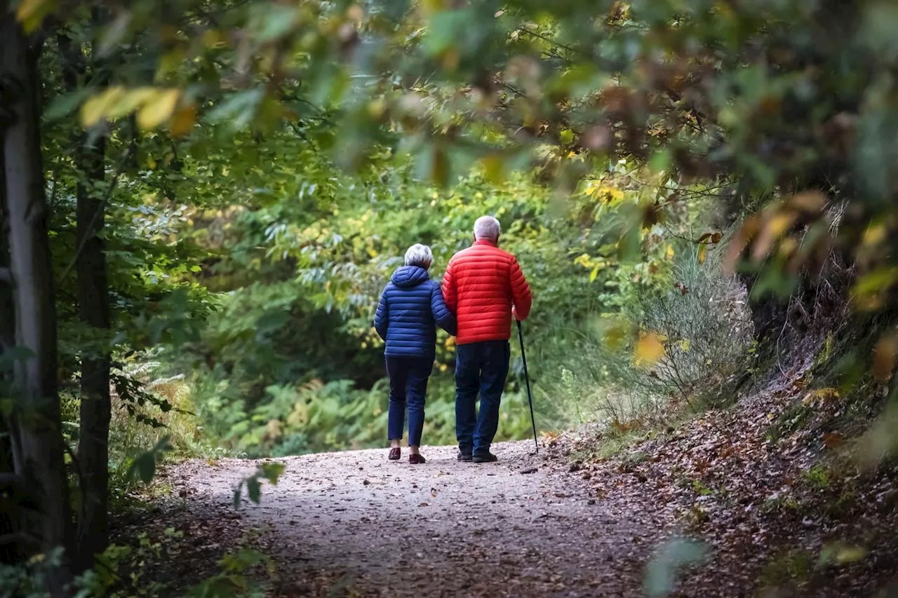 Pensions, niveau de vie, inégalités… La situation des retraités en 5 chiffres