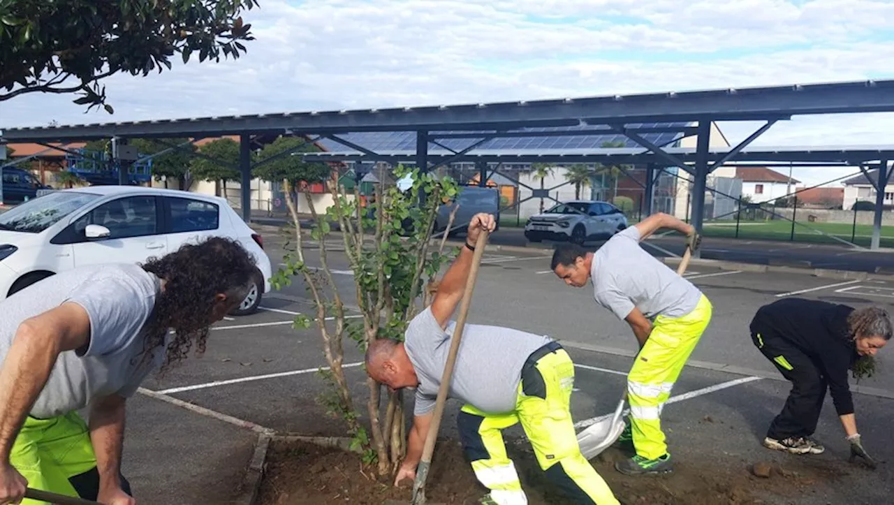 Environnement : à Bordères, la place Jean-Jaurès poursuit sa mise au vert