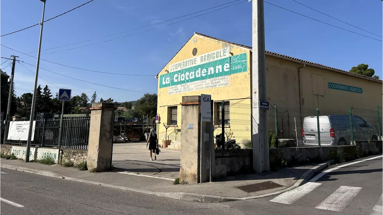 Mais pourquoi la coopérative agricole de La Ciotat déménage à Saint-Cyr-sur-Mer ?