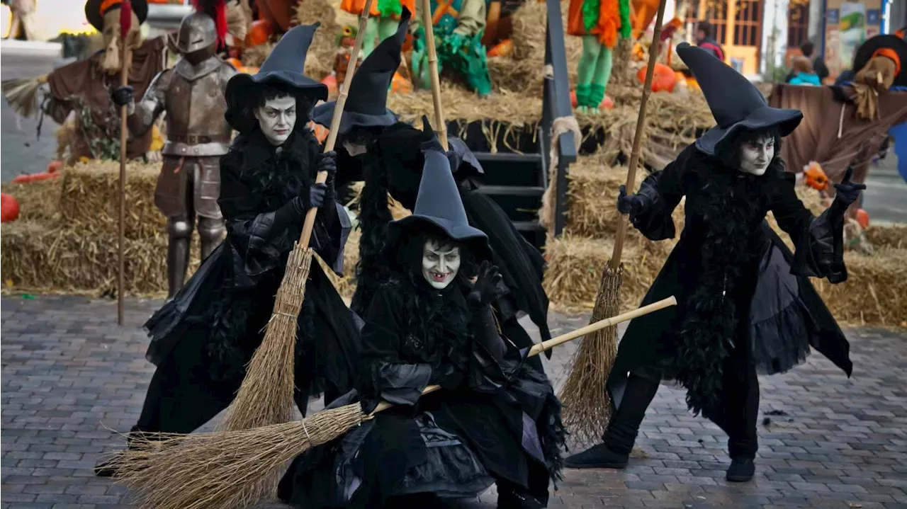 Halloween à Plopsaland une heure d’attente pour accéder au parc ce