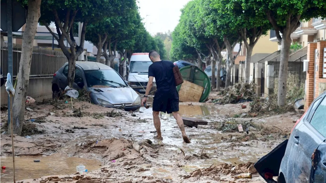 Inondations meurtrières en Espagne : l’incroyable sauvetage d’une femme avec ses chatons et son chien