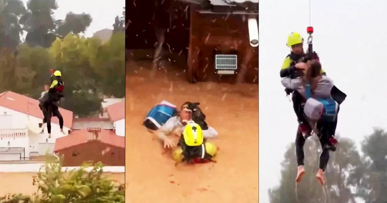 Inundaciones en España: el impresionante rescate de una mujer, su perro y sus gatos “guerreros” | Mundo