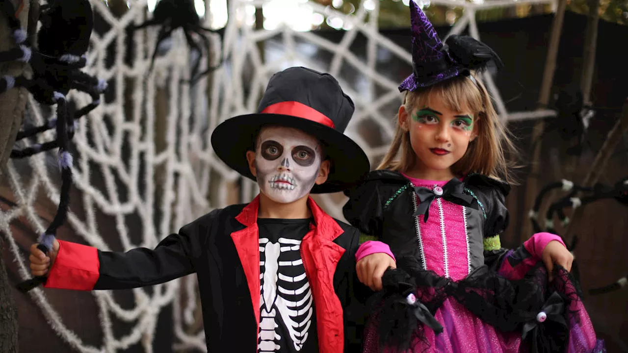 Children should get stickers not sweets during Halloween trick-or-treating, dentists demand