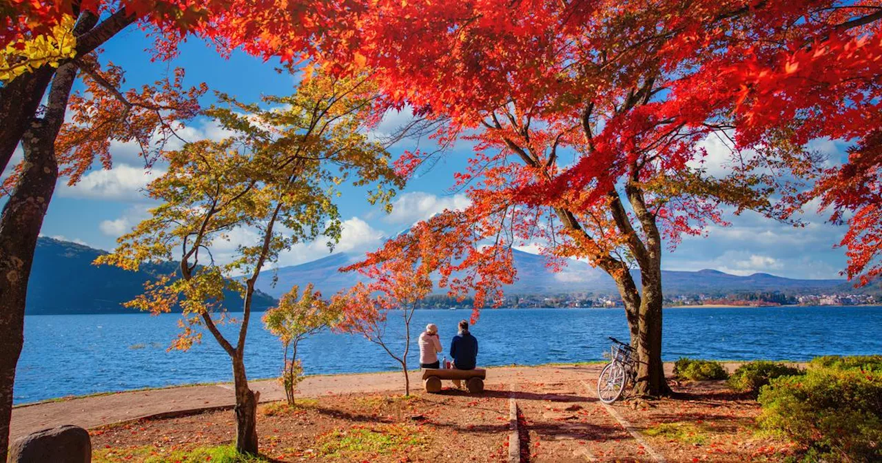 Mont Fuji sans neige en octobre : un record inédit depuis 130 ans